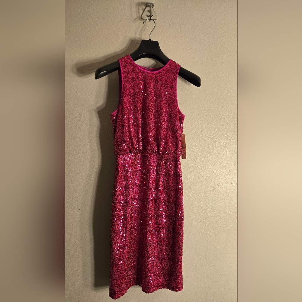 Brand New Eliza J Sequins Dress